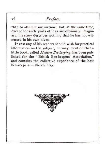 Buz The Life and Adventures of a Honey Bee by Maurice Noel 1898