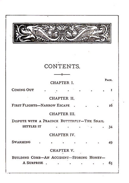 Buz The Life and Adventures of a Honey Bee by Maurice Noel 1898