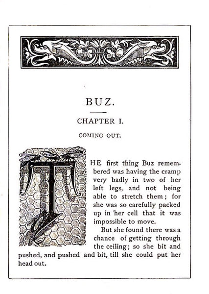 Buz The Life and Adventures of a Honey Bee by Maurice Noel 1898