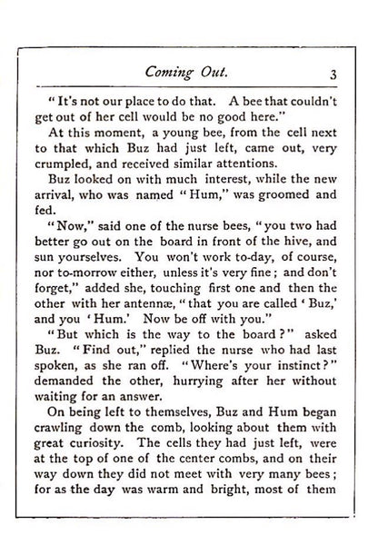 Buz The Life and Adventures of a Honey Bee by Maurice Noel 1898