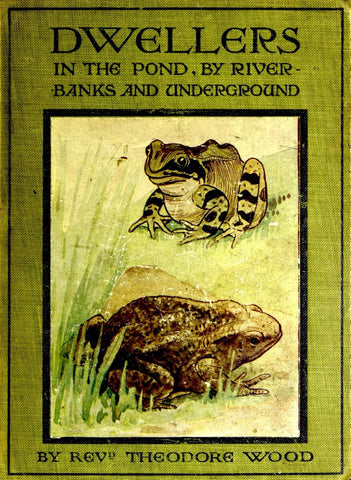 Dwellers in the Pond, Riverbanks, and Underground by Theodor Wood, 1908