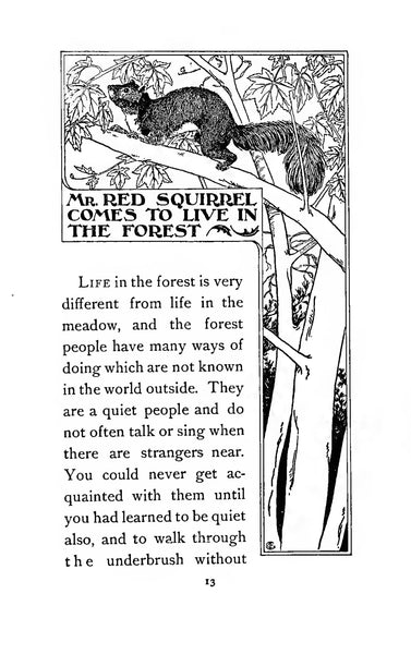 Among the Forest People by Clara Dillingham Pierson 1898