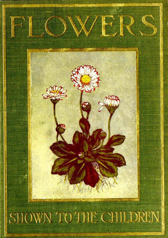Flowers Shown to the Children by Janet Harvey Kelman, 1906