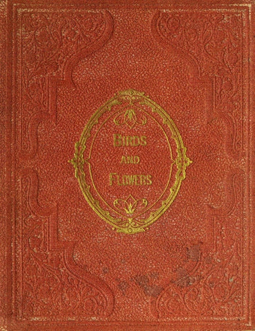 Bird and Flowers Poetry Book by Mary Howitt, 1866
