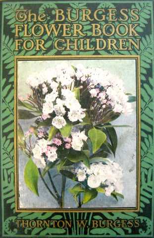 The Burgess Flower Book by Thornton W Burgess, 1926