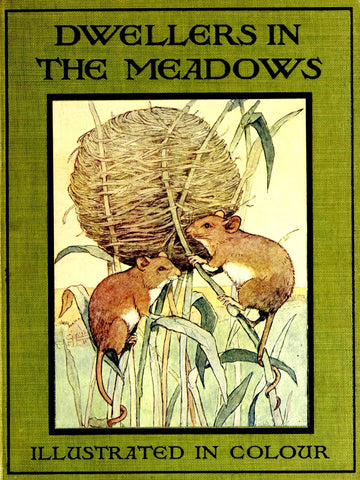 Dwellers in the Meadows by Theodore Wood 1908
