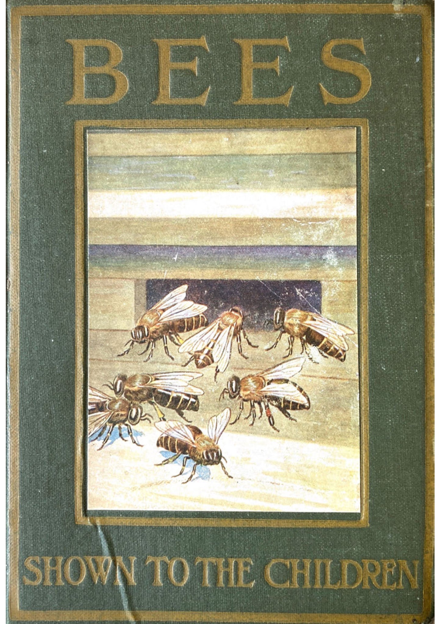 Bees Shown to the Children by Ellison Hawks, 1912