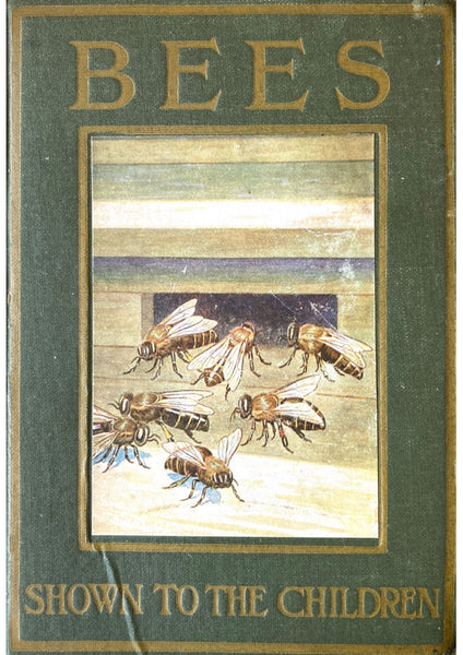 Bees Shown to the Children by Ellison Hawks, 1912
