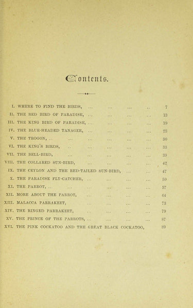 Birds of Gay Plumage, Birds of Paradise and Sun Birds by Mary and Elizabeth Kirby, 1885