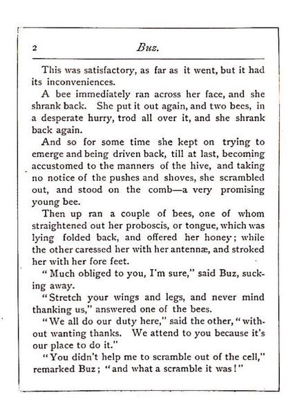 Buz The Life and Adventures of a Honey Bee by Maurice Noel 1898