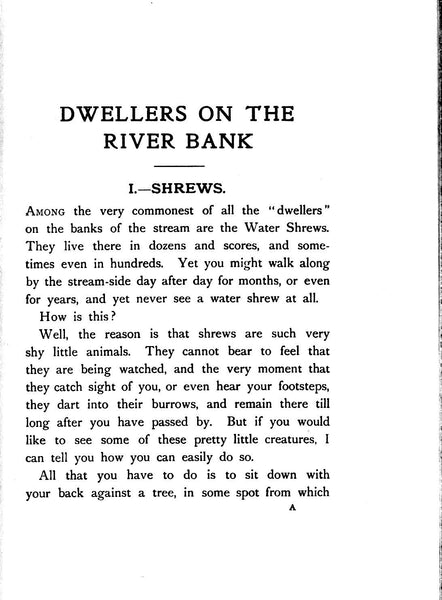 Dwellers on the River Banks by Theodore Wood, 1908