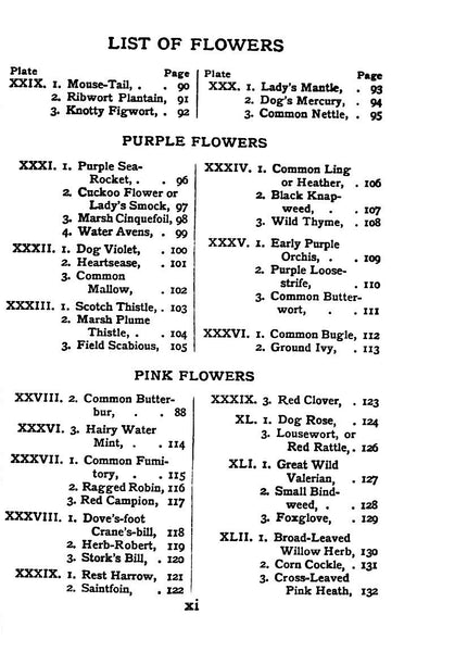 Flowers Shown to the Children by Janet Harvey Kelman, 1906