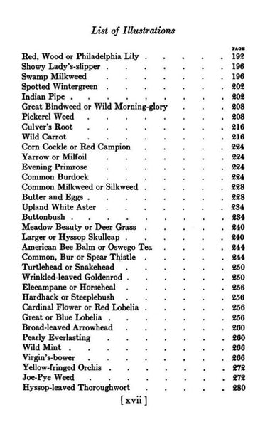 The Burgess Flower Book by Thornton W Burgess, 1926