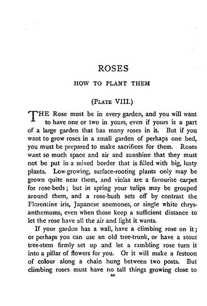 Gardens Shown to the Children by Janet Harvey Kelman 1912